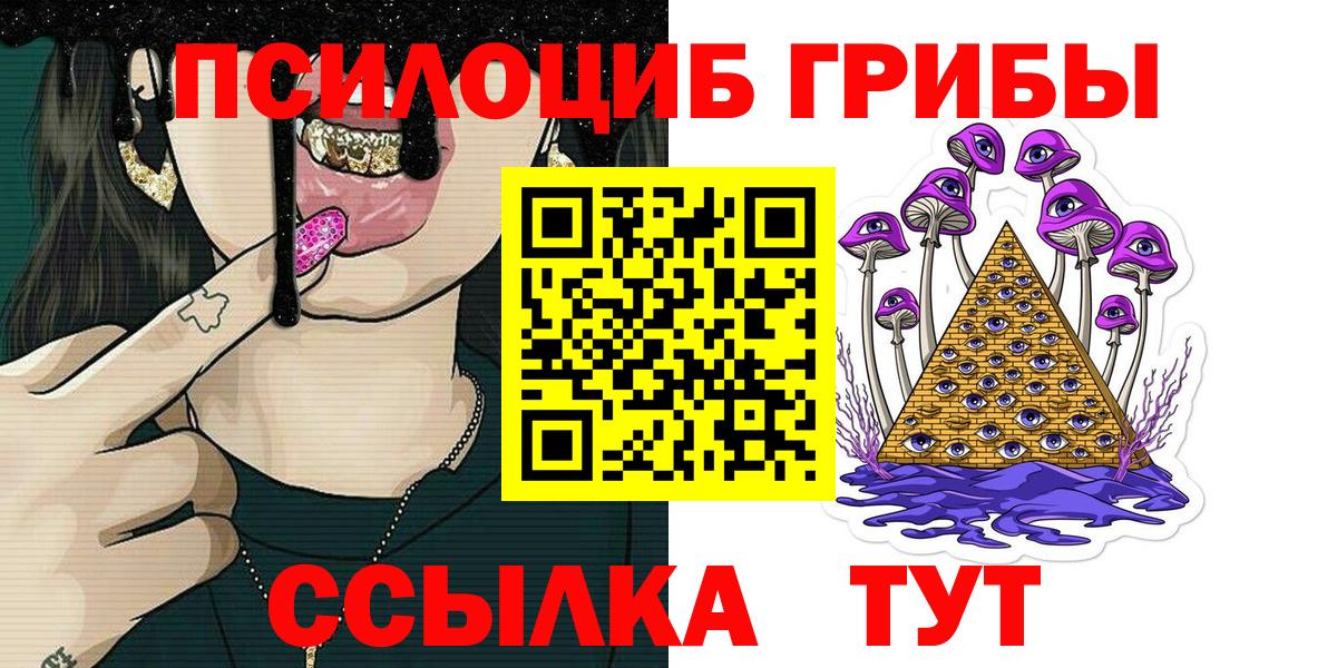 Псилоцибиновые грибы GOLDEN TEACHER Гай