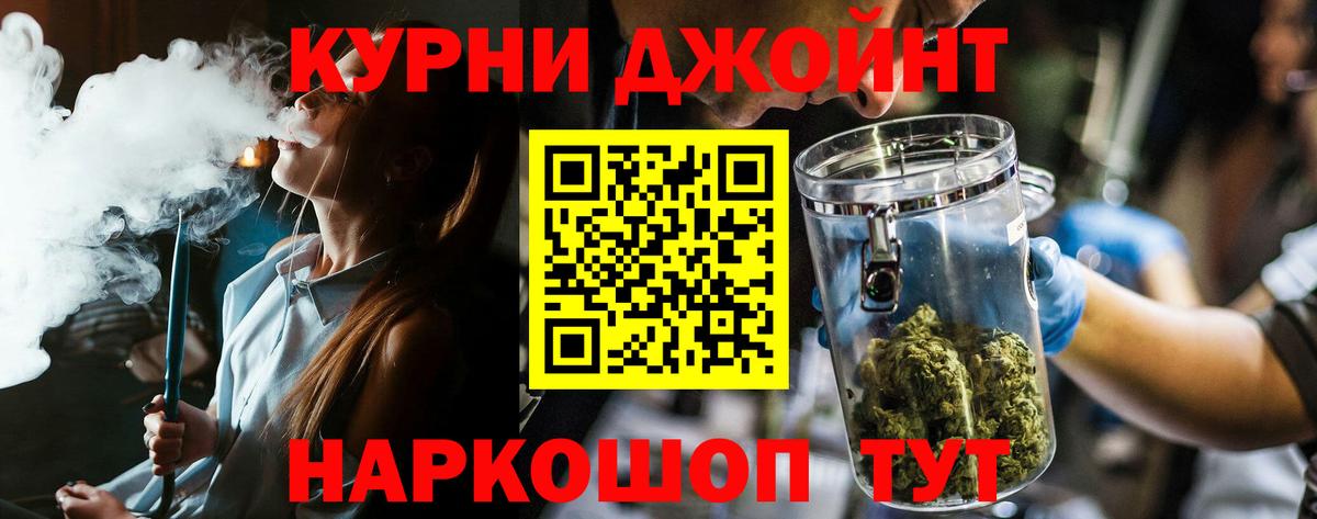 Каннабис сатива Гай